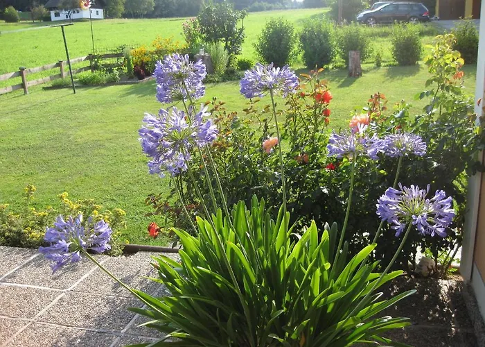 Gaestehaus Stroitz דרובולאך אם פאקרסי