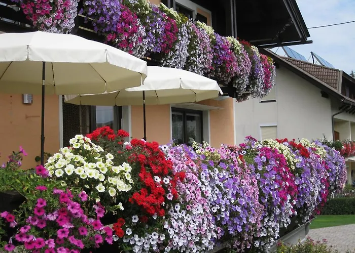 Gaestehaus Stroitz בית הארחה