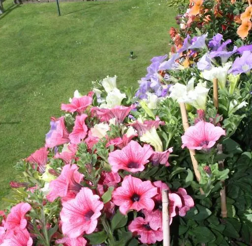 בית הארחה Gaestehaus Stroitz דרובולאך אם פאקרסי