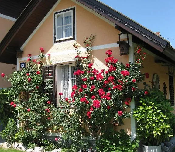 Gaestehaus Stroitz דרובולאך אם פאקרסי